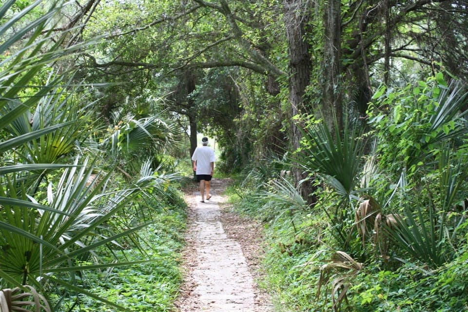 Beach Path