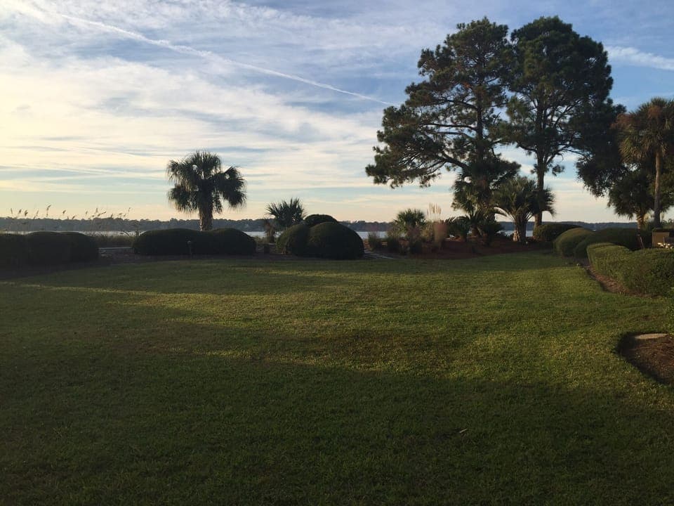 Our back yard