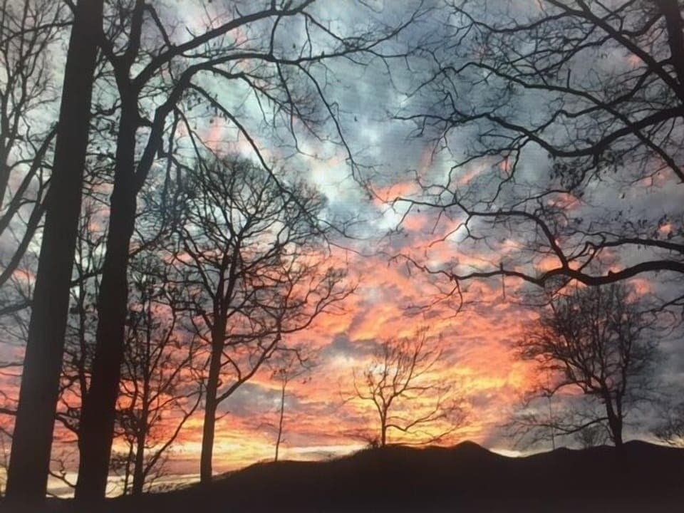 Sunset flames