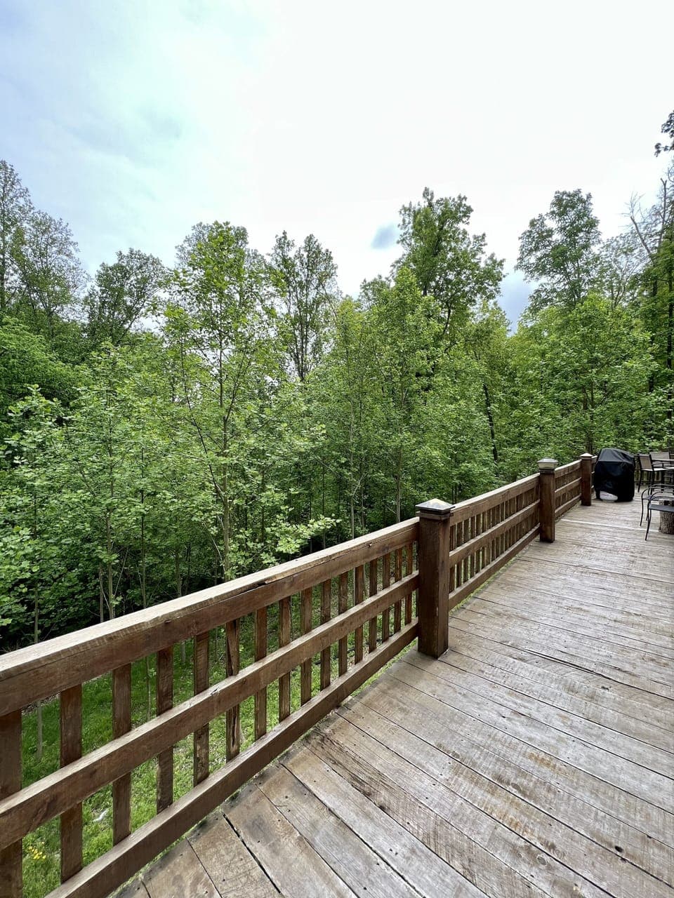 View from the back deck with BBQ 
