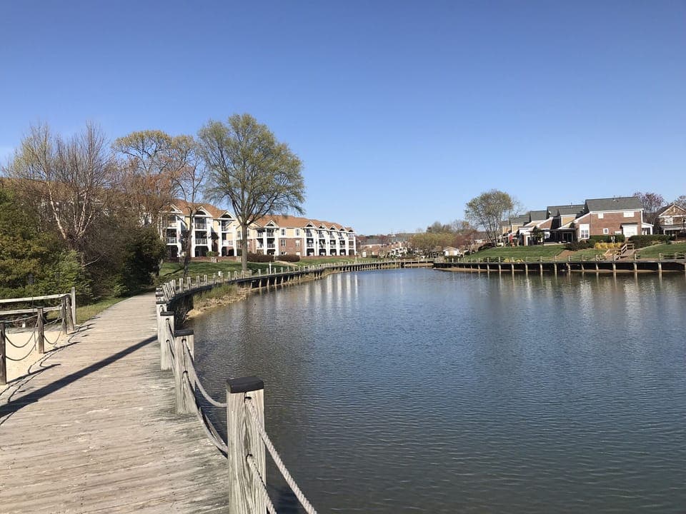 Great walks on scenic boardwalk