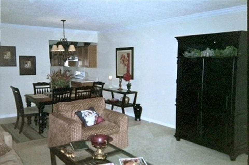 DINING TABLE AREA