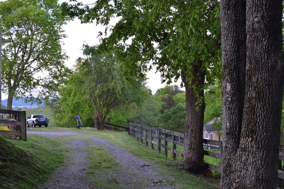 Property grounds
