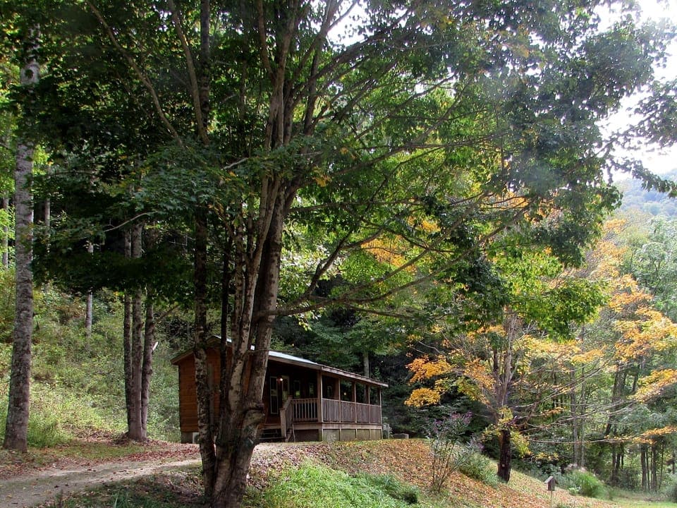 The beautiful Stardance cabin