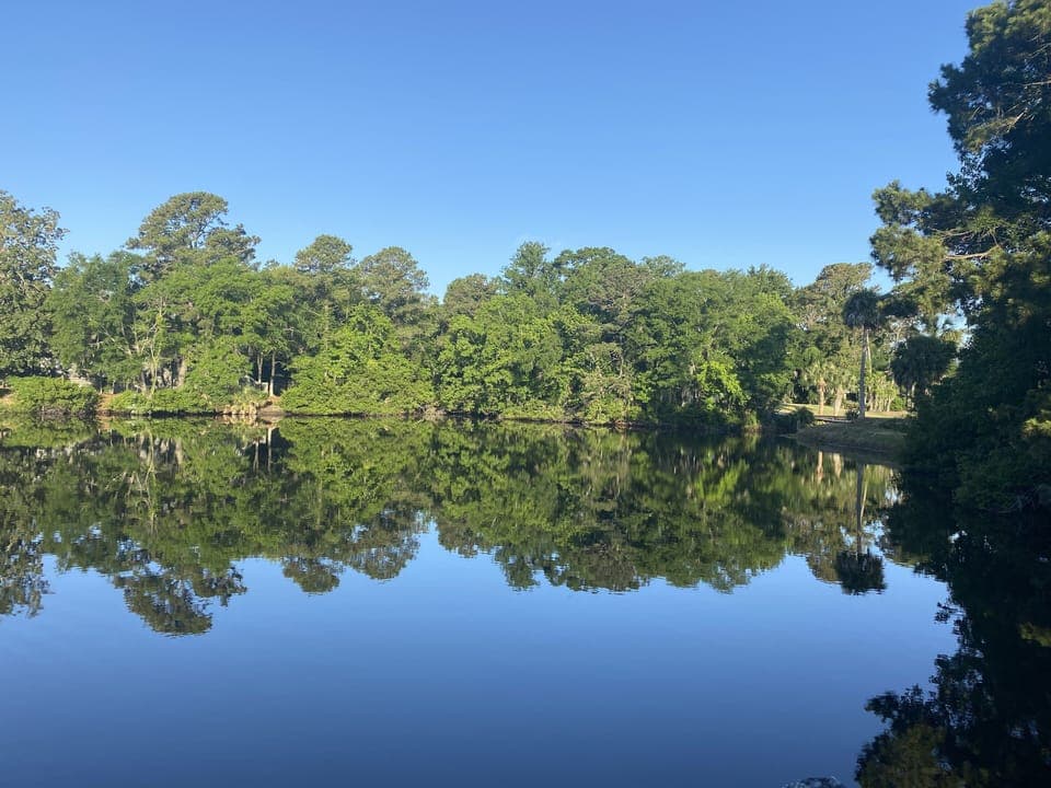 Lagoon