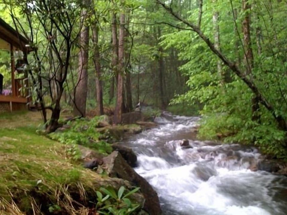 Like an enchanted forest ...