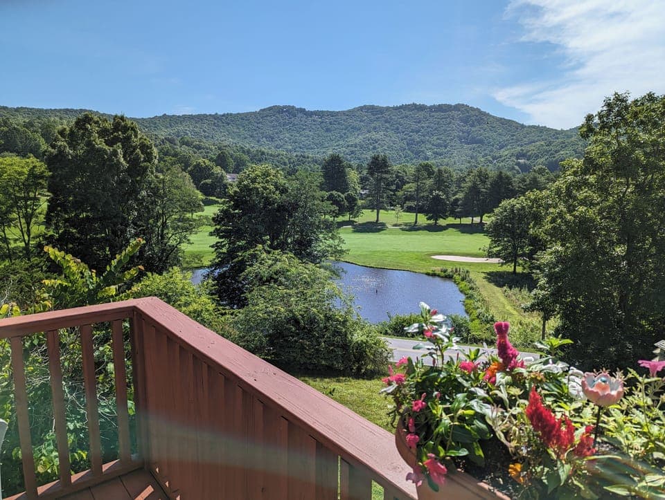 Balcony View