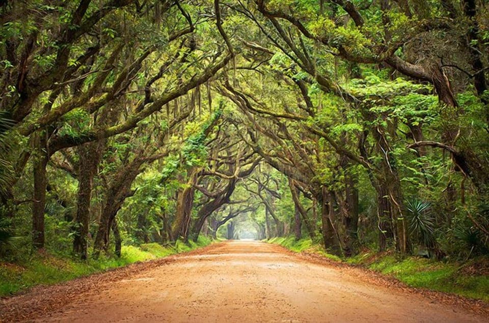 Botany Bay Plantation