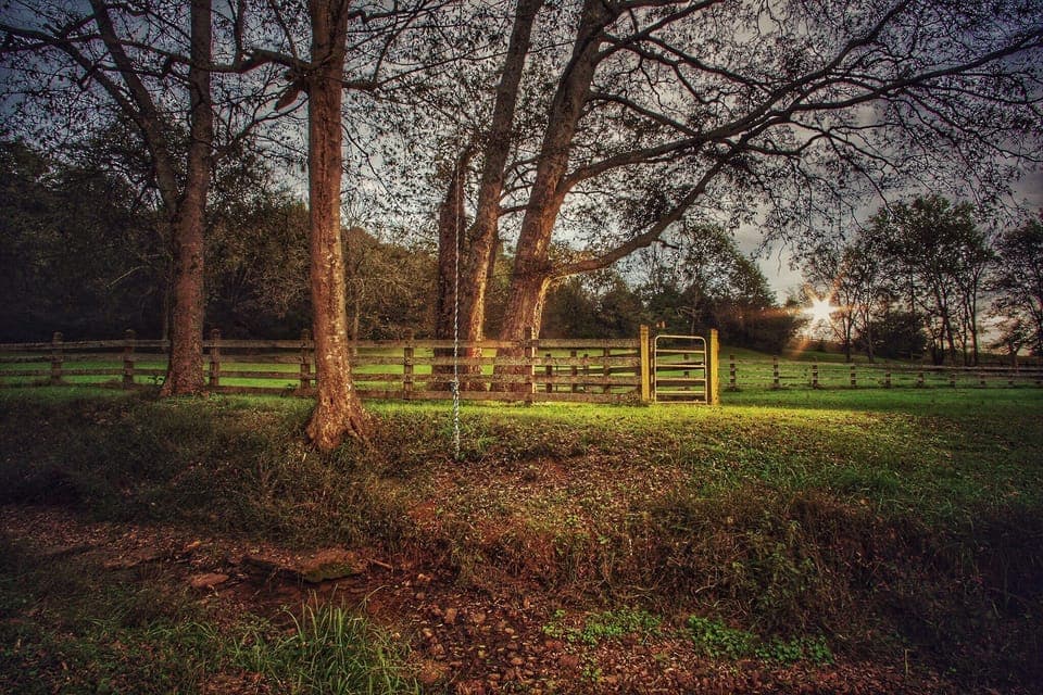 Property grounds