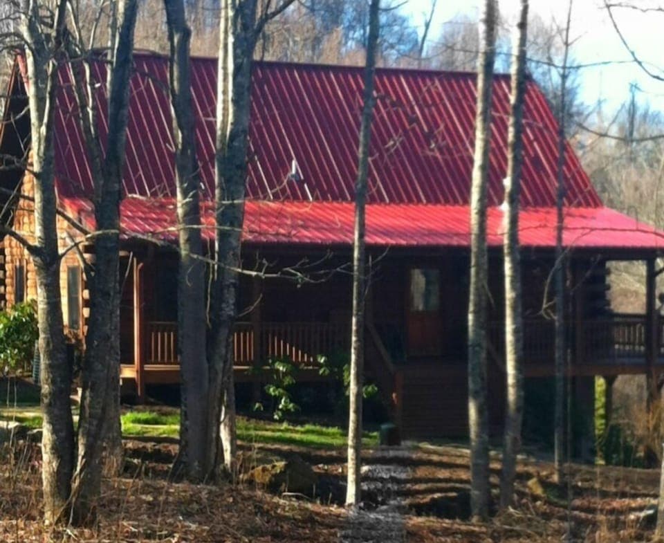 Side View