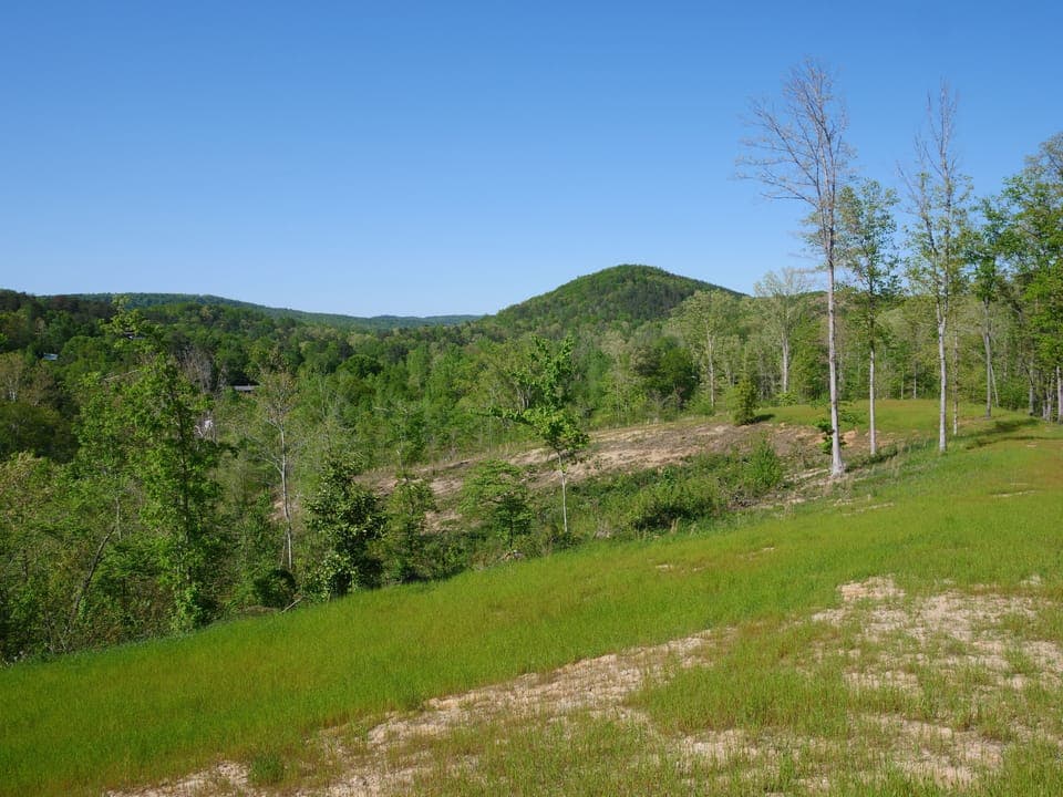 Foothills
