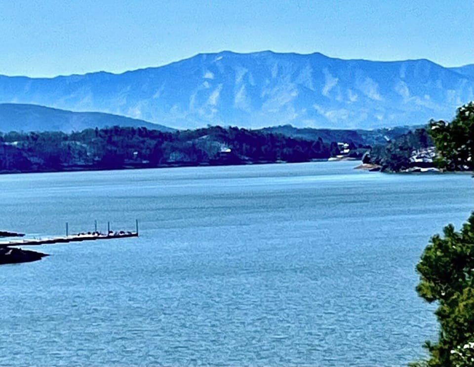 View from back deck