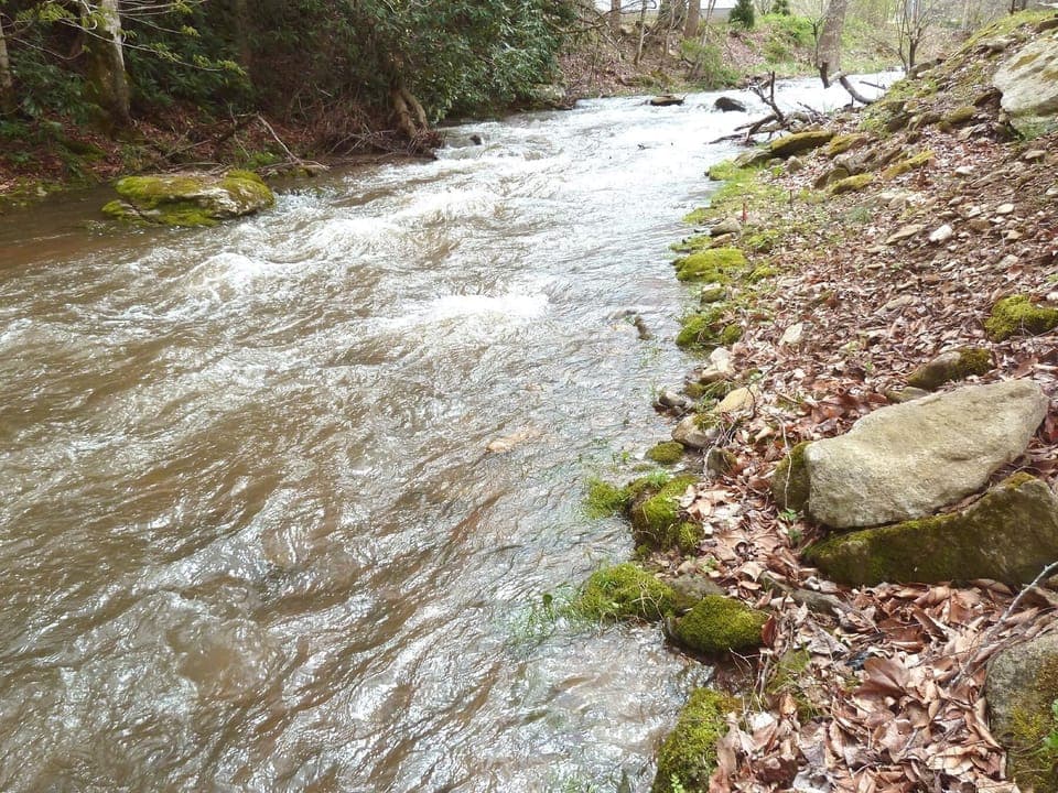 Whitewater Creek at Creekside Cabin