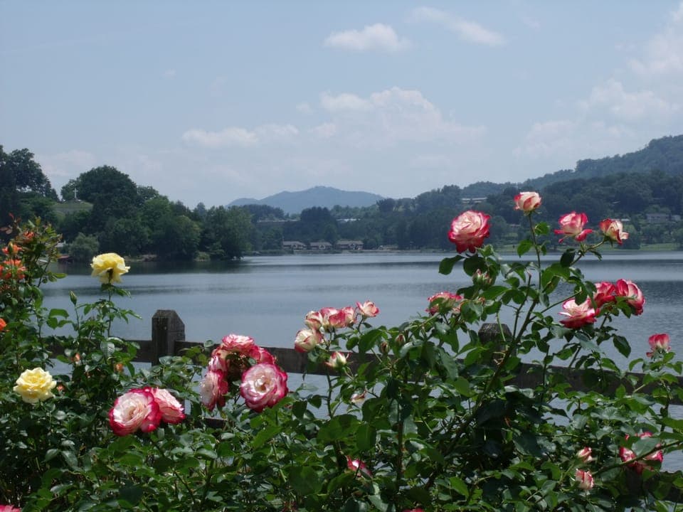 Lake Junaluska