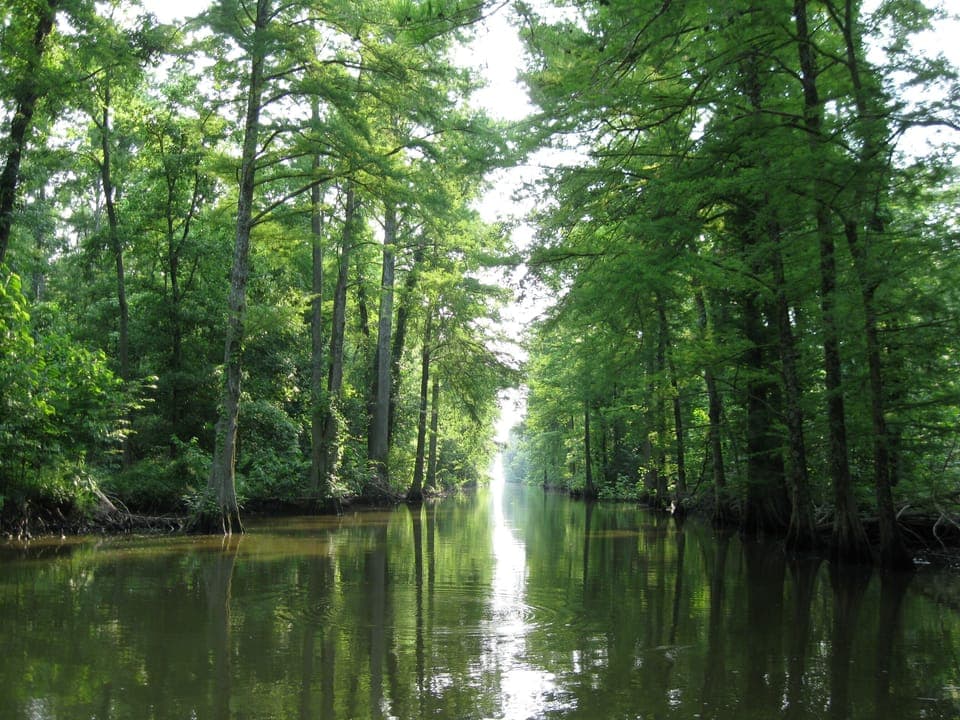 Donaldson Ditch 