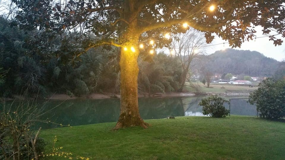 Backyard Lights