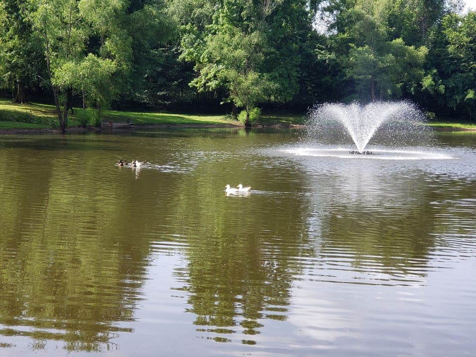 Lake