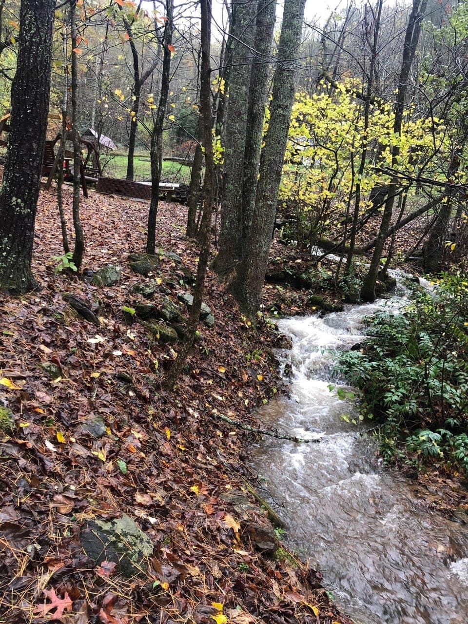Creekside Fun!