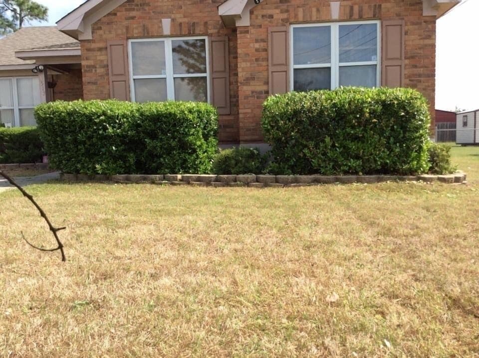 Big front and back yard 