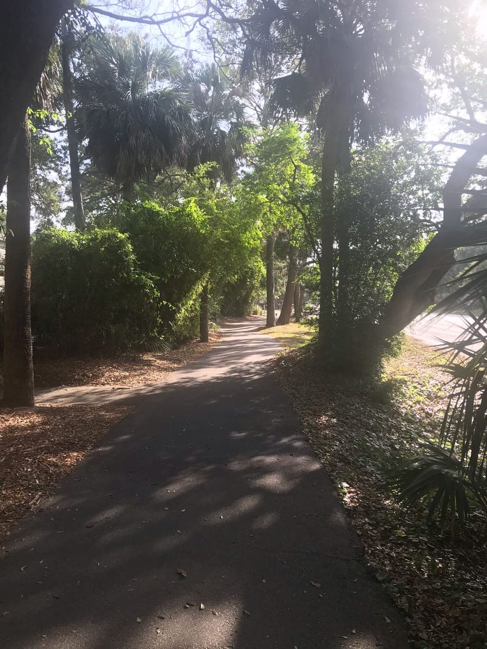 Pathway to beach 