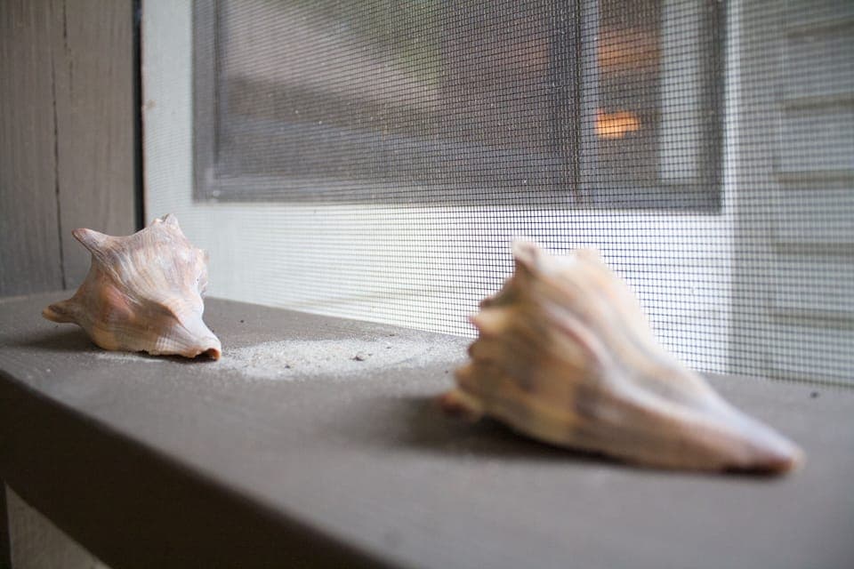 Interior detail