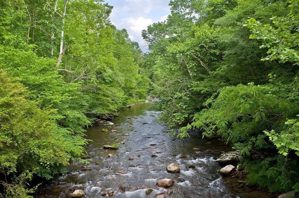 River near the cabin