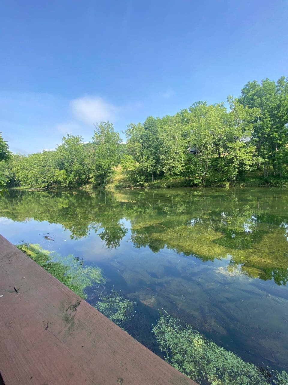 Morning coffee or evening fishing with uninterrupted river views from our dock