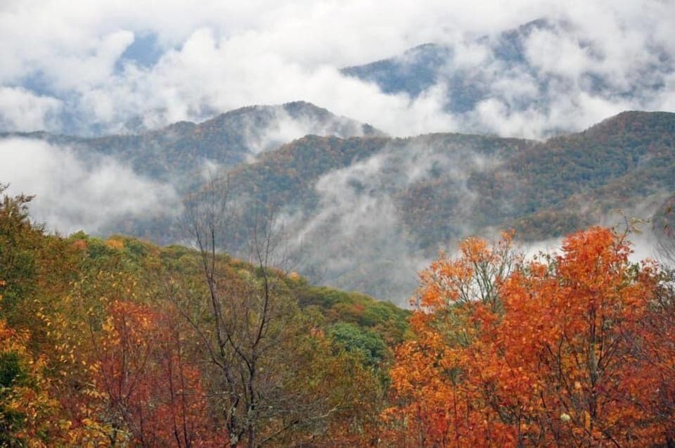 Enjoy Autumn colors in the Smoky mornings