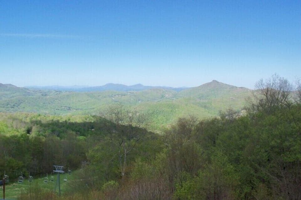 Spring View