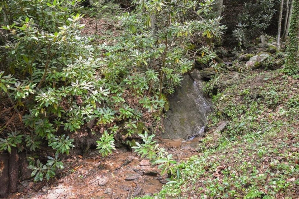 Small creek across property - soothing sounds to relax by.

