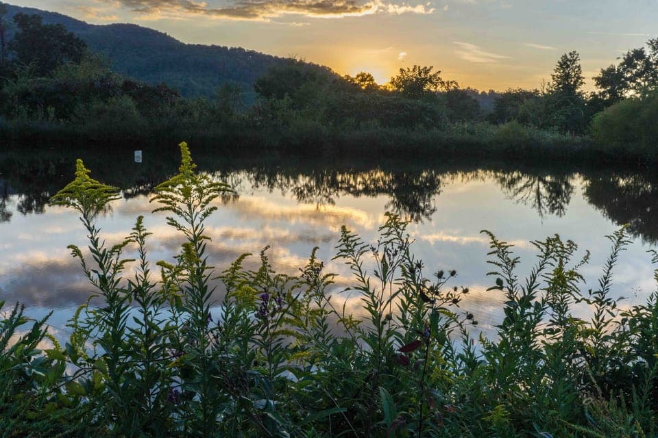 Sunset on the pond