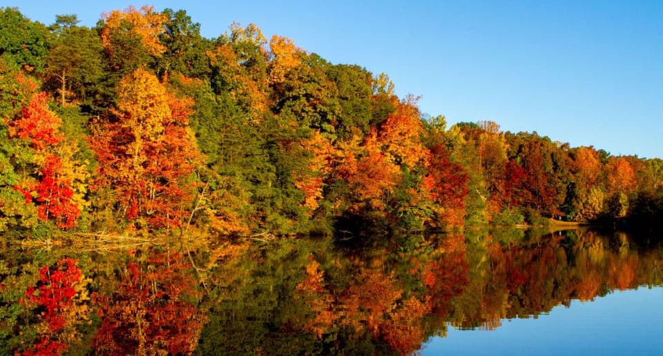 Property very close to Warriors Path State Park. Boating, hiking, picnic areas 