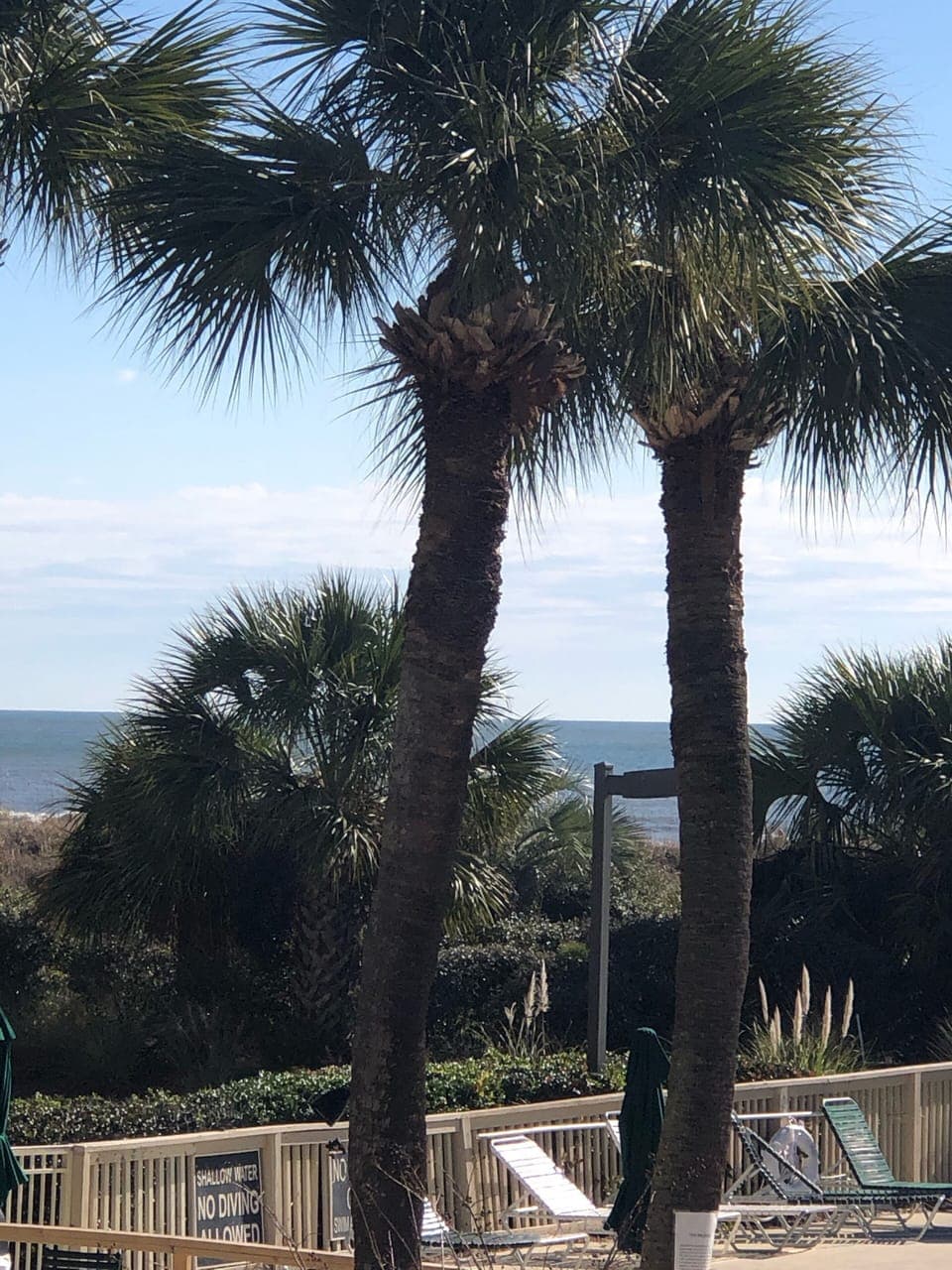 View from balcony
