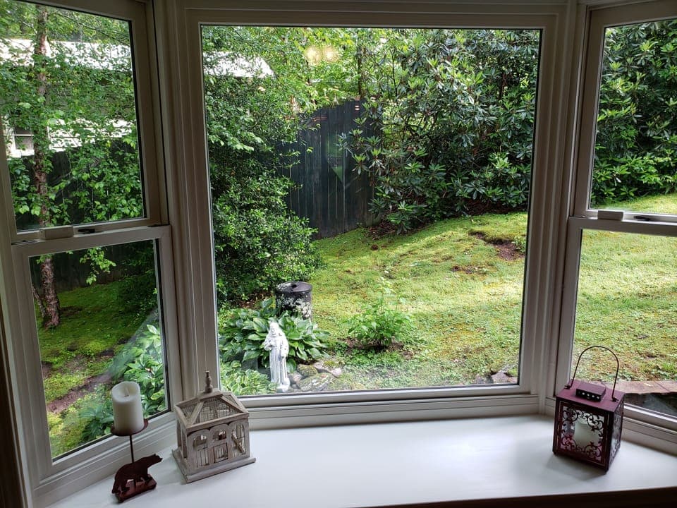 Bay window view