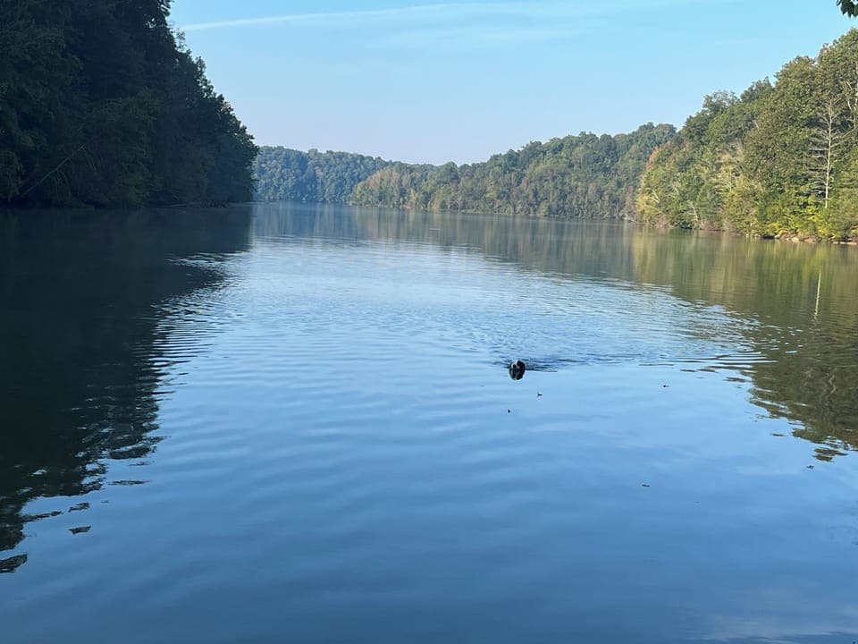 Beautiful cove