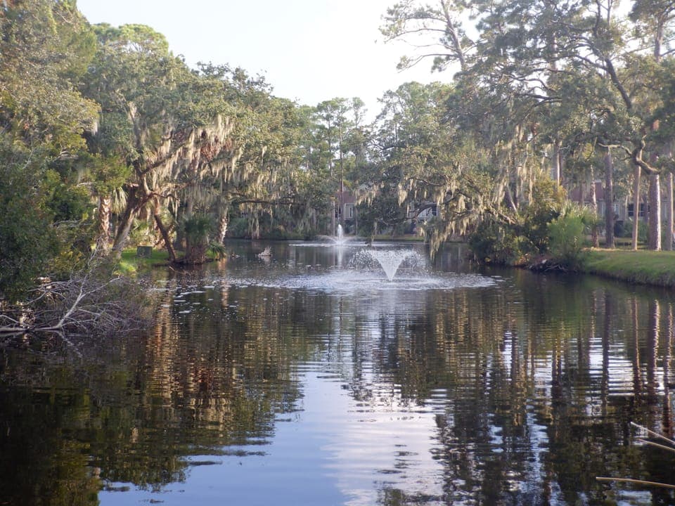 Lagoon