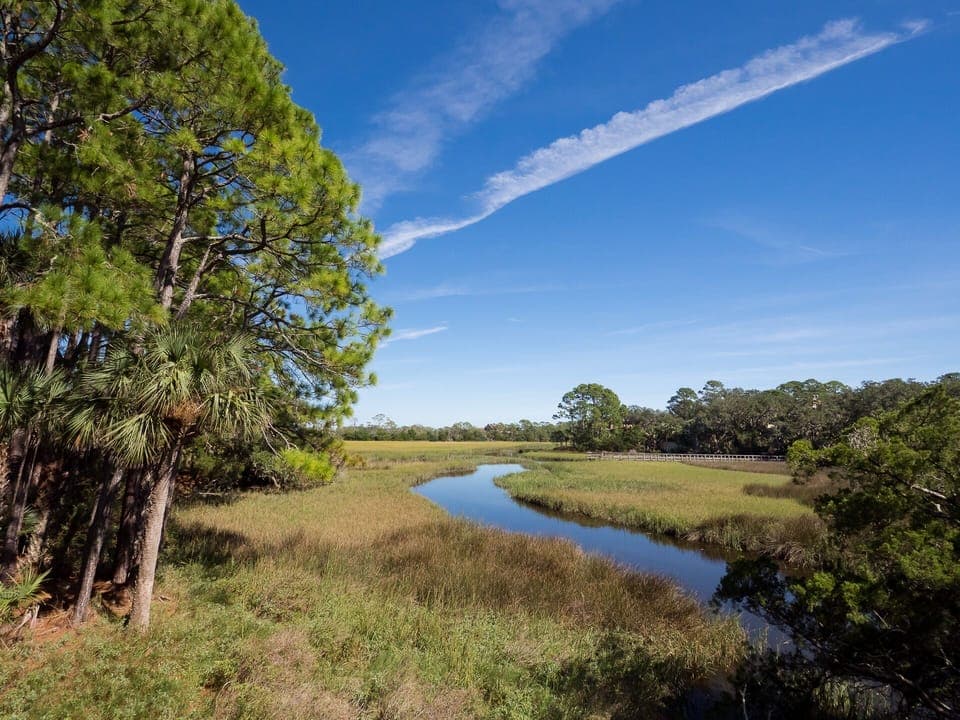 Marsh View