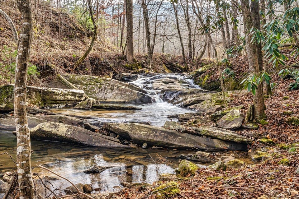 Creek 