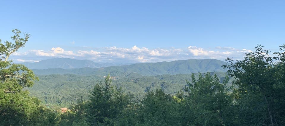 View from the porch
