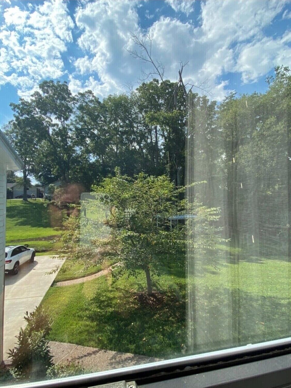 View from property