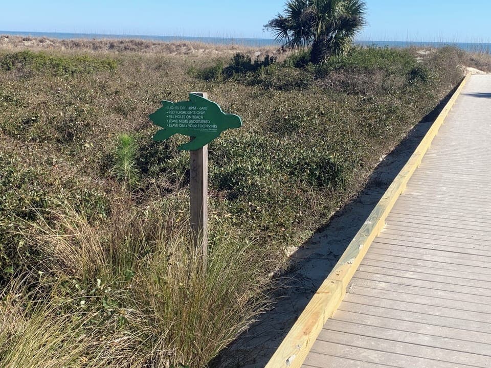 Boardwalk 3