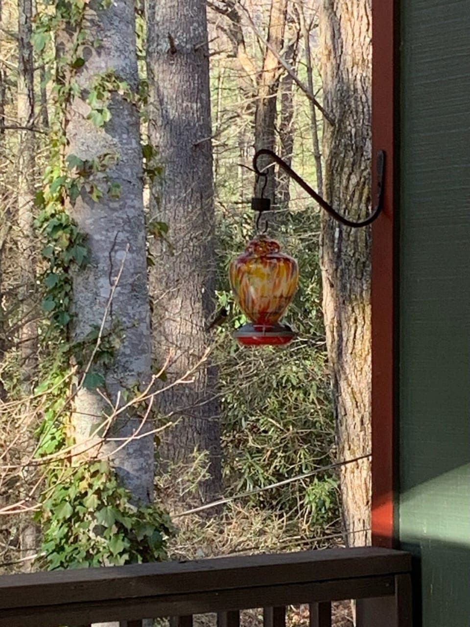 View from property
