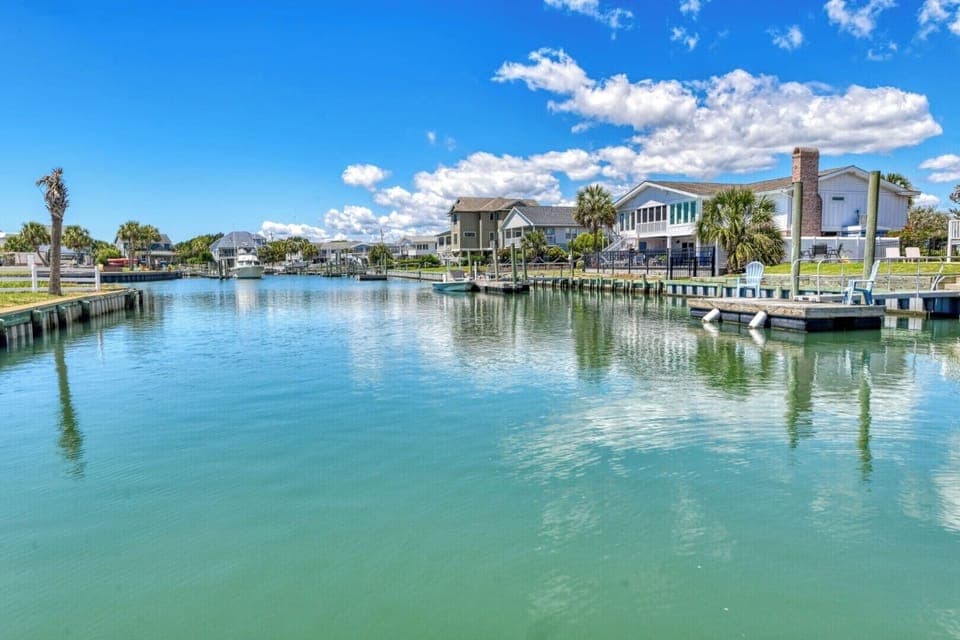 Dancing Dolphins