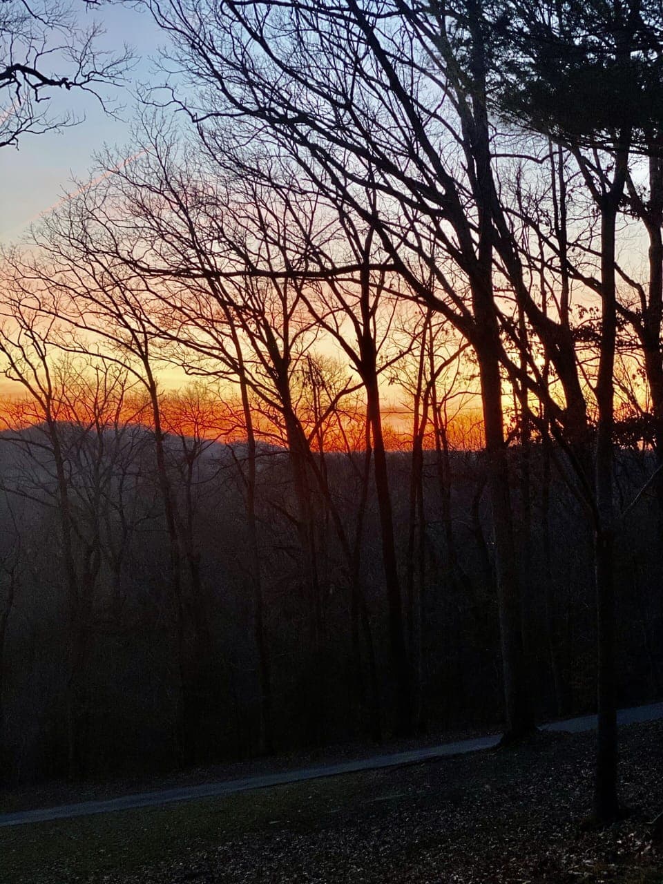 From our deck.