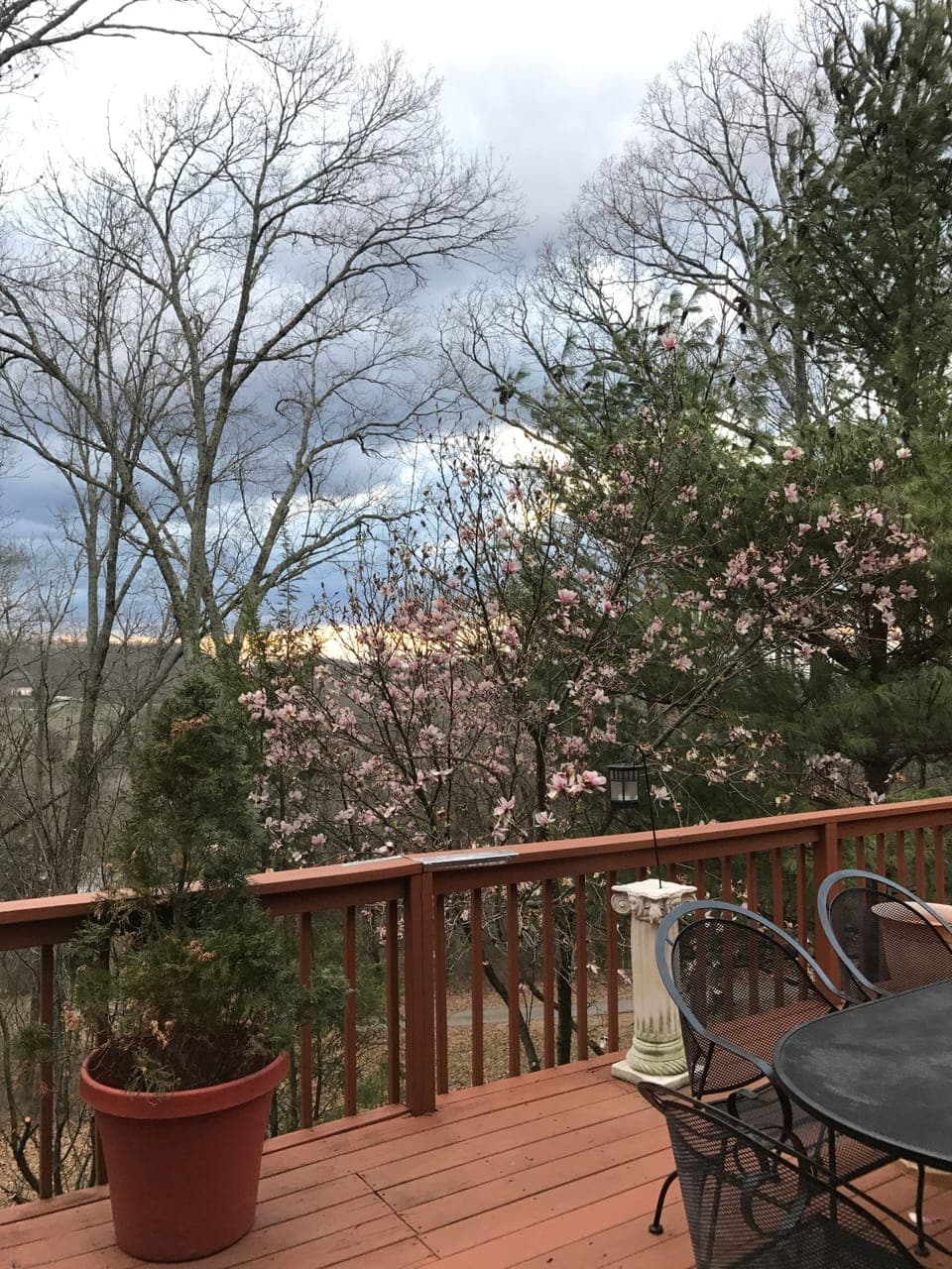 View from the deck