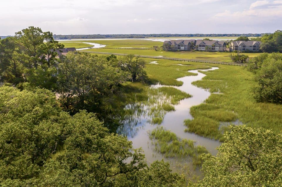 Aerial Views of Area