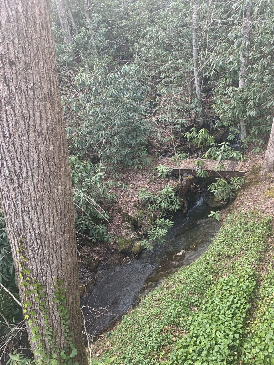 Creek with small waterfall in back yard
