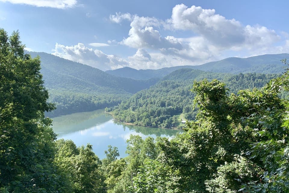 Summer View