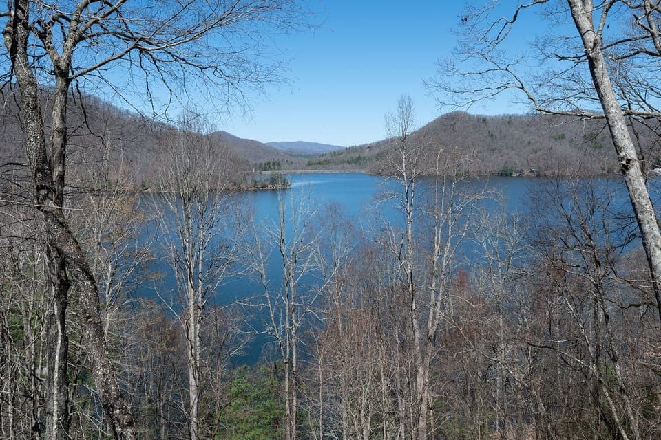 Lake View in the Winter