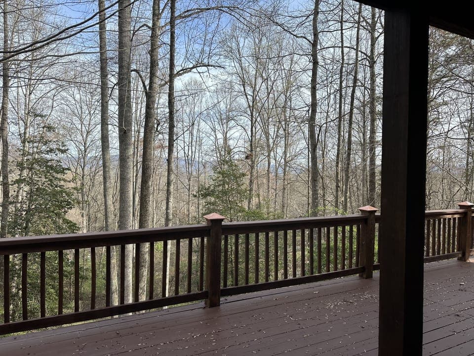 Winter view 1